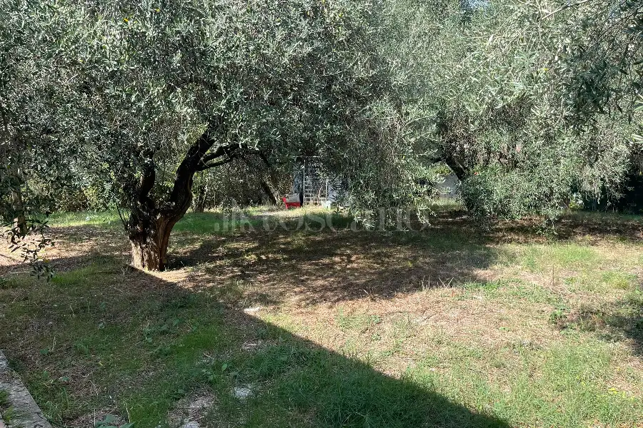 Villa Bifamiliare in vendita di 150 mq a €299.000 (rif. 49/2026)