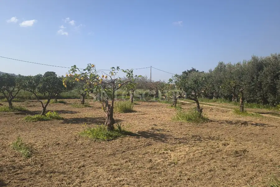 Agricolo in vendita di 14.880 mq a €108.000 (rif. 27/2026)