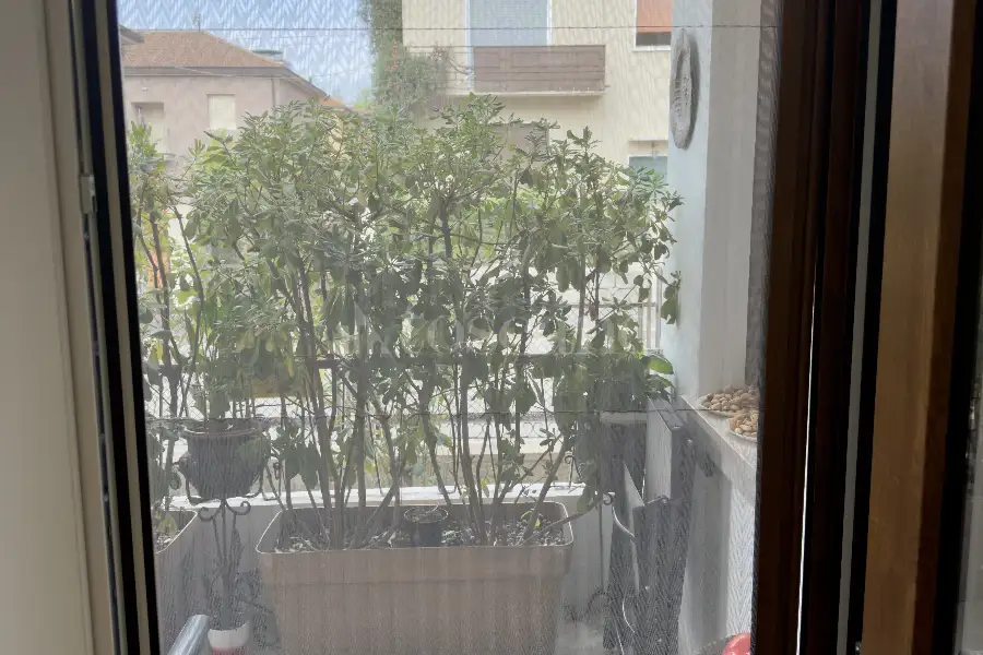 Casa in vendita di 110 mq a €310.000 (rif. 31/2026)