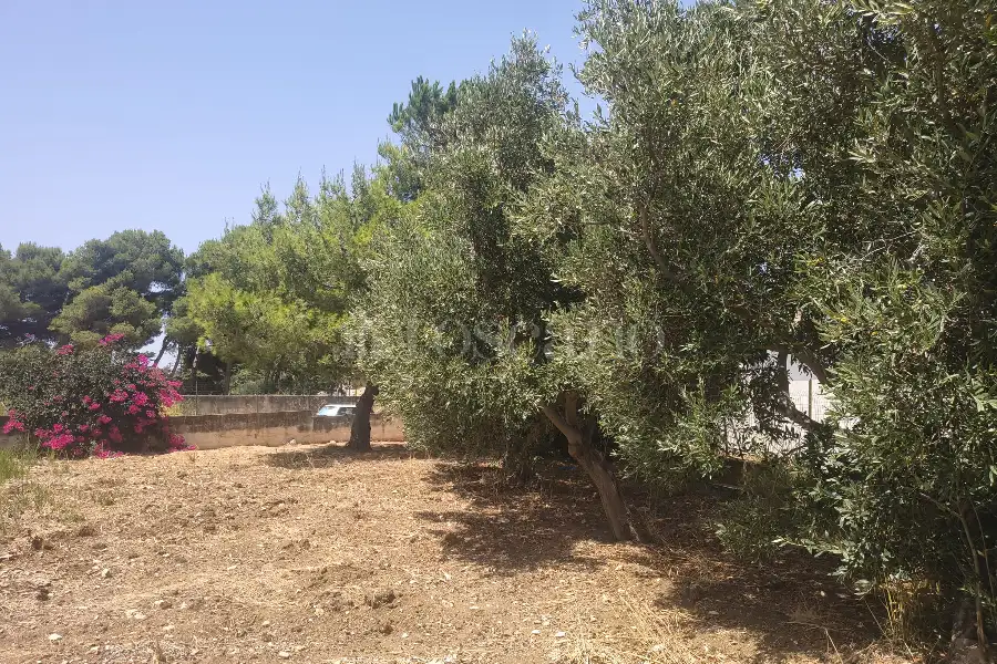 Edificabile Residenziali in vendita di 650 mq a €28.000 (rif. 45/2026)