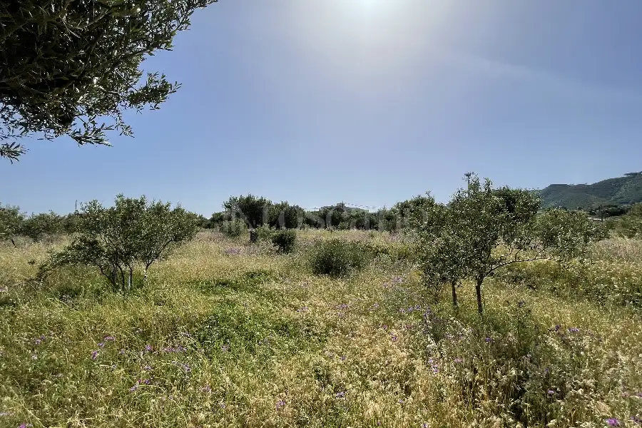 Agricolo in vendita di 3.300 mq a €28.000 (rif. 10/2025)