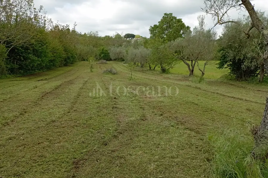 Agricolo in vendita di 3.360 mq a €12.000 (rif. 22/2026)