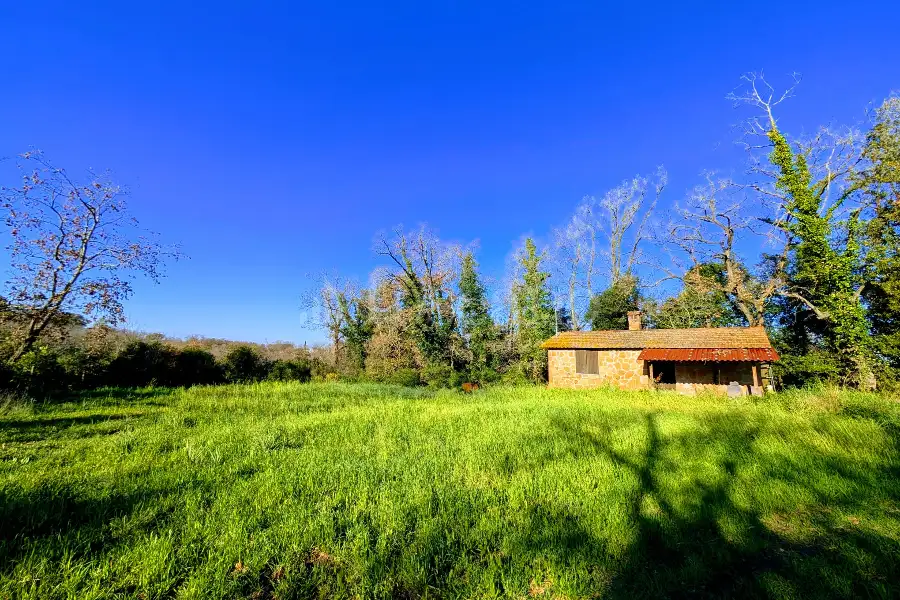 Edificabile Commerciale in vendita di 19.500 mq a €149.000 (rif. 17/2026)