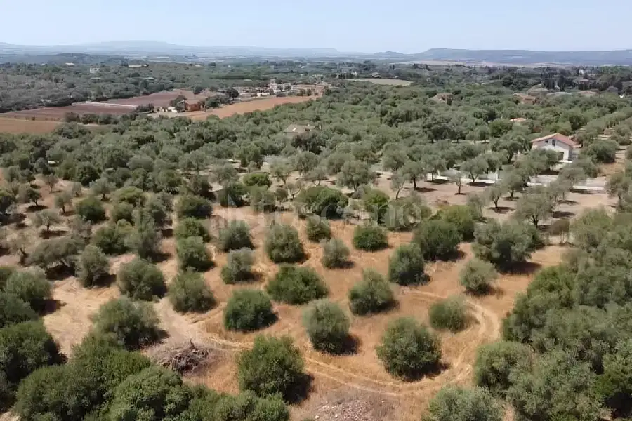 Edificabile Residenziali in vendita di 15.000 mq a €70.000 (rif. 164/2026)