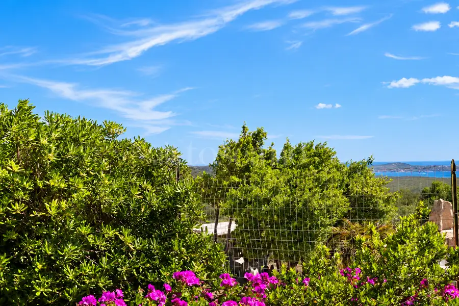 Villa in vendita di 278 mq a €1.200.000 (rif. 41/2025)