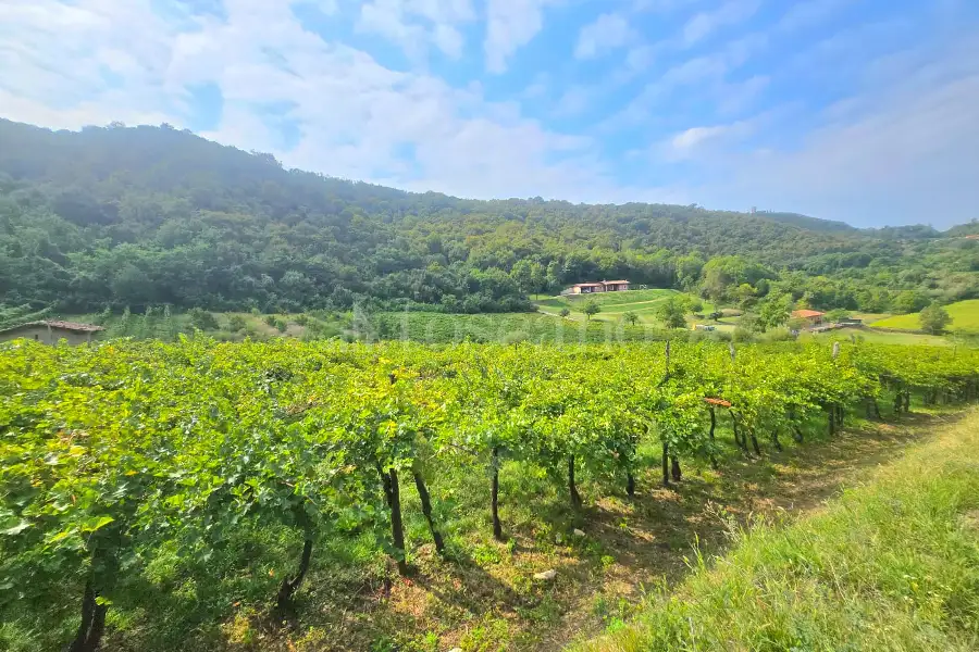 Agricolo in vendita di 15.000 mq a €210.000 (rif. 75/2026)