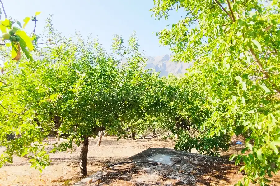 Villa in vendita di 186 mq a €199.000 (rif. 38/2026)