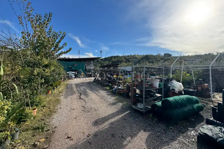 Capannone in vendita di 1.200 mq a €920.000 (rif. 129/2025)