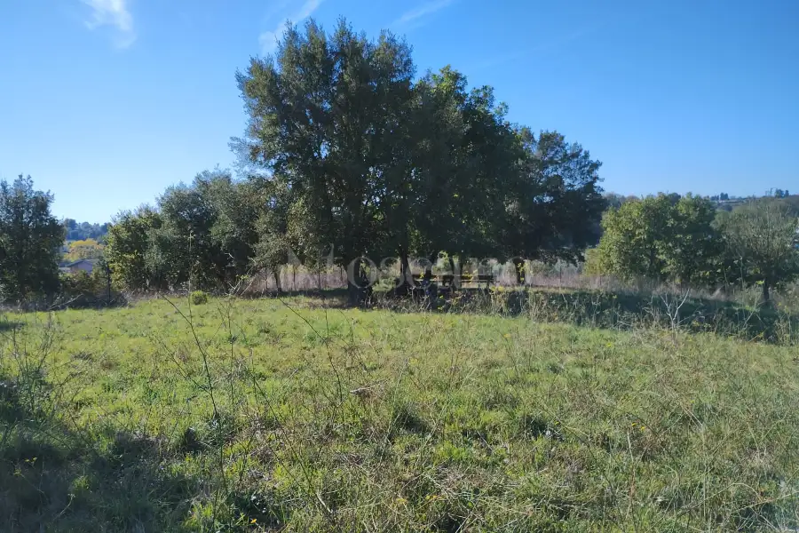 Agricolo in vendita di 1.200 mq a €45.000 (rif. 62/2025)