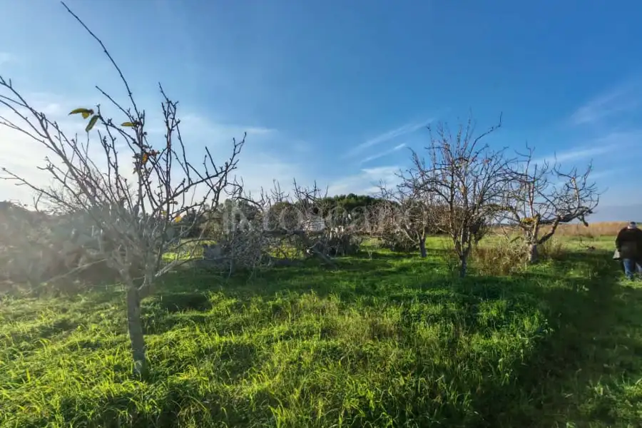 Capannone in vendita di 139 mq a €59.000 (rif. 2/2026)