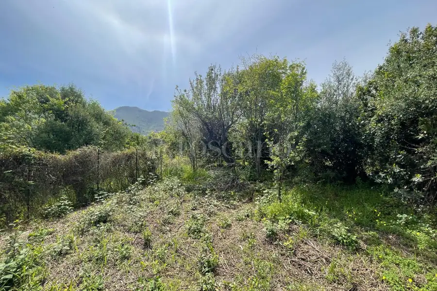 Edificabile Residenziali in vendita di 4.900 mq a €117.000 (rif. 44/2025)