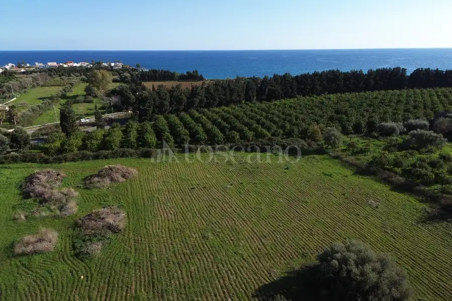 Edificabile Residenziali in vendita di 25.000 mq a €335.000 (rif. 137/2025)