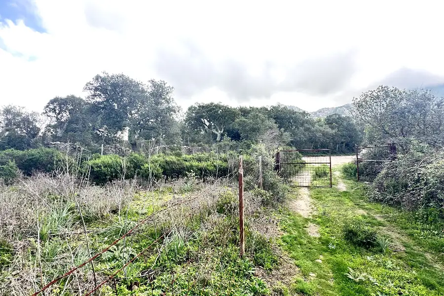 Agricolo in vendita di 247.451 mq a €250.000 (rif. 58/2024)