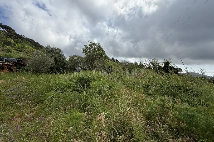 Agricolo in vendita di 16.504 mq a €88.000 (rif. 20/2026)