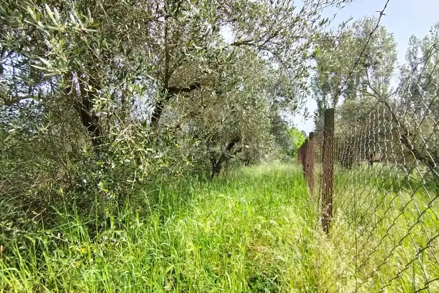 Agricolo in vendita di 5.520 mq a €65.000 (rif. 12/2025)