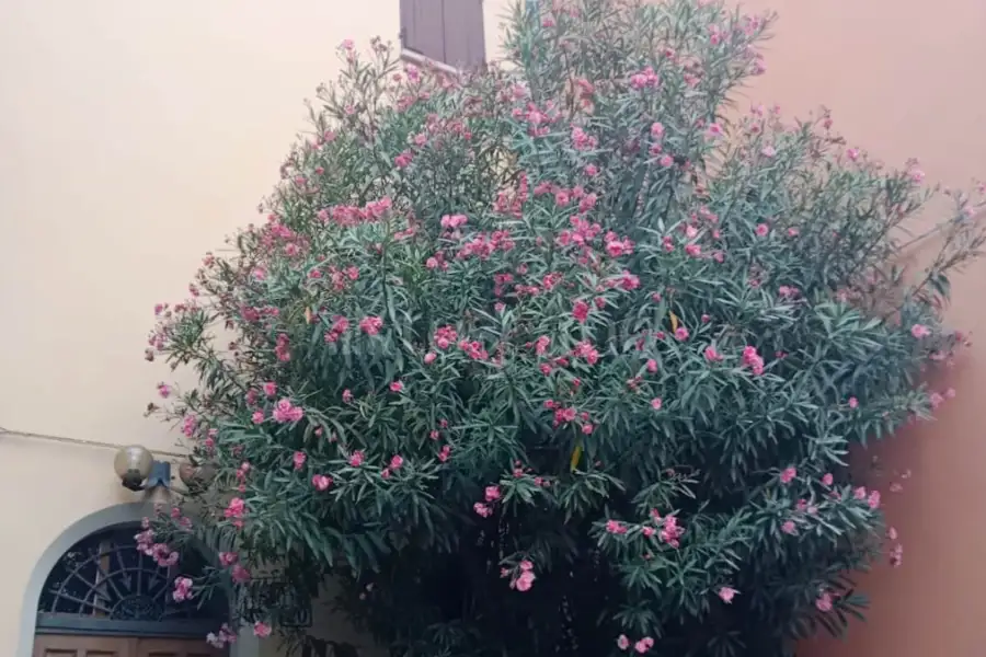 Casa in vendita di 80 mq a €355.000 (rif. 44/2024)