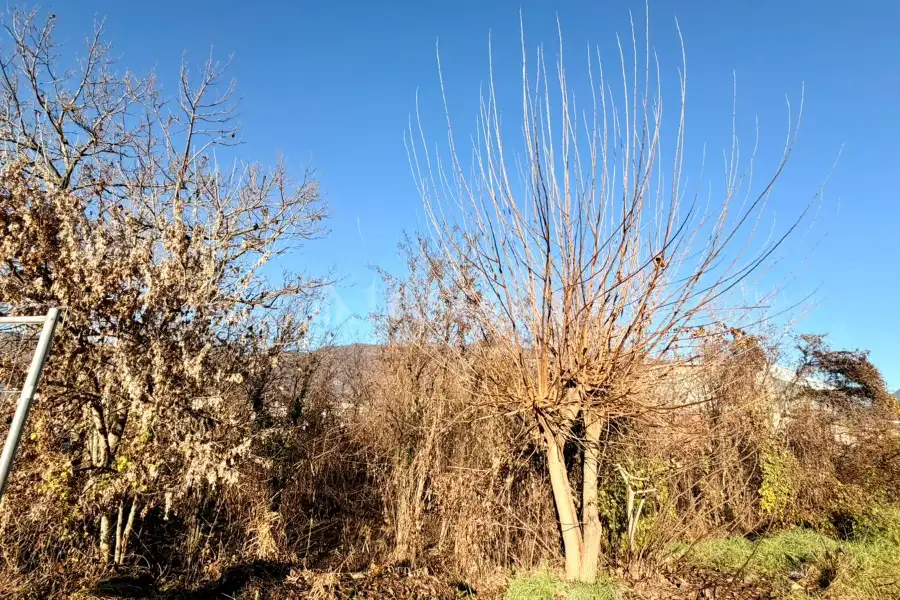 Edificabile Commerciale in vendita di 1.470 mq a €153.000 (rif. 65/2025)