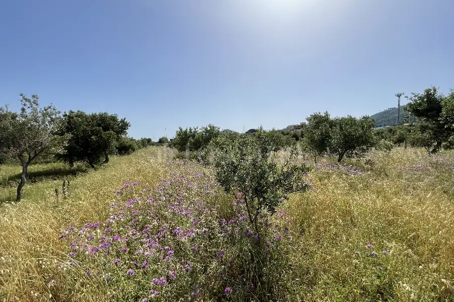 Agricolo in vendita di 3.300 mq a €28.000 (rif. 10/2025)