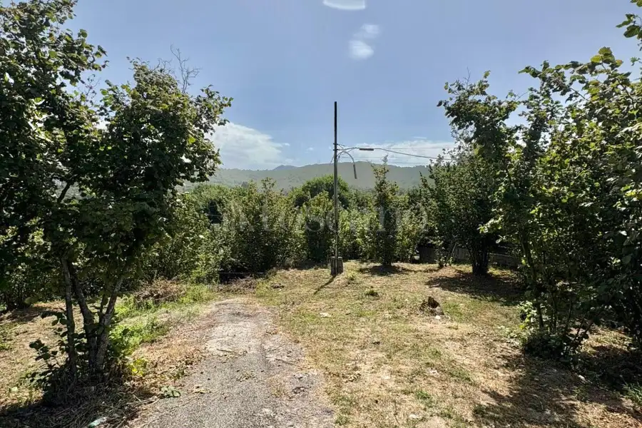 Agricolo in vendita di 2.000 mq a €18.000 (rif. 107/2026)