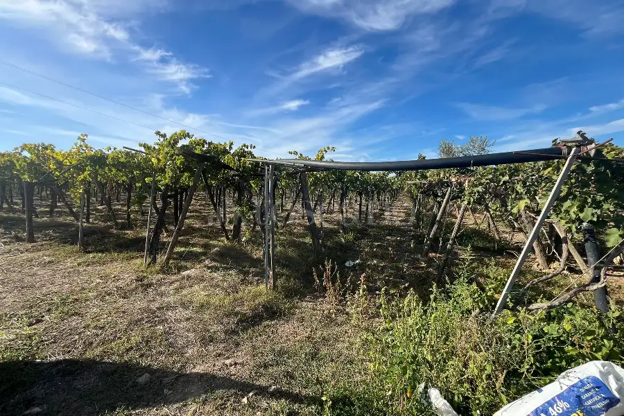 Agricolo in vendita di 7.000 mq a €69.000 (rif. 54/2025)