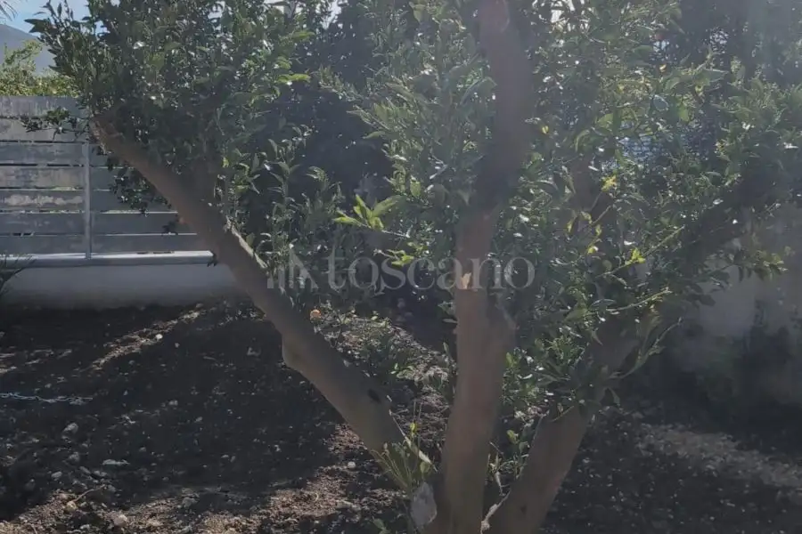 Villa in vendita di 346 mq a €365.000 (rif. 50/2024)