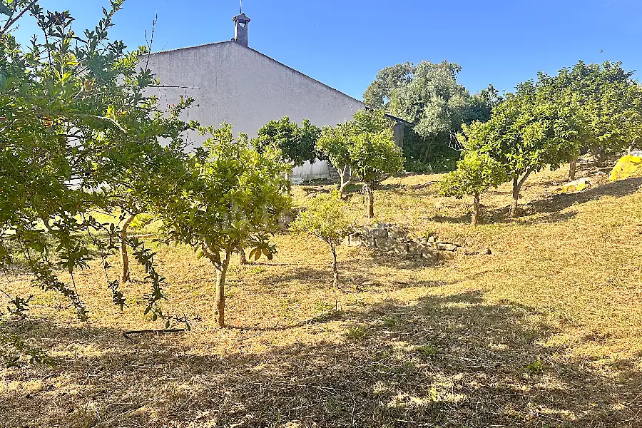 Edificabile Residenziali in vendita di 1.334 mq a €100.000 (rif. 6/2025)