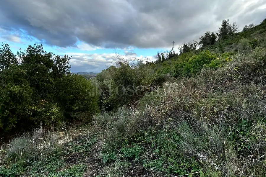 Agricolo in vendita di 4.300 mq a €17.500 (rif. 213/2025)