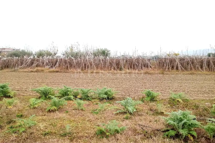 Agricolo in vendita di 2.400 mq a €55.000 (rif. 64/2025)