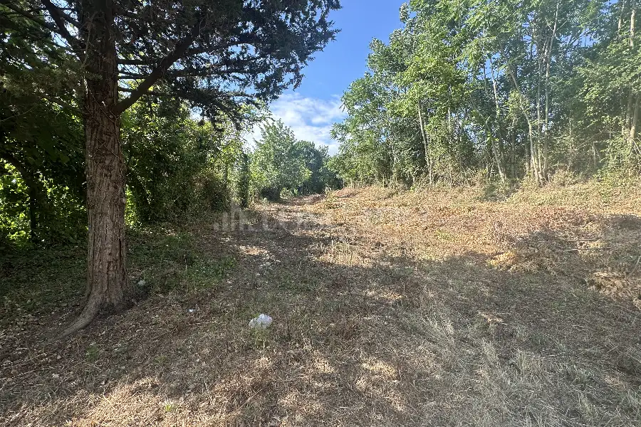 Agricolo in vendita di 1.200 mq a €19.900 (rif. 18/2025)