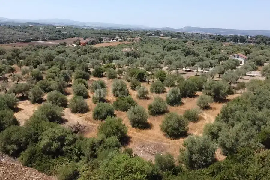 Edificabile Residenziali in vendita di 15.000 mq a €70.000 (rif. 164/2026)