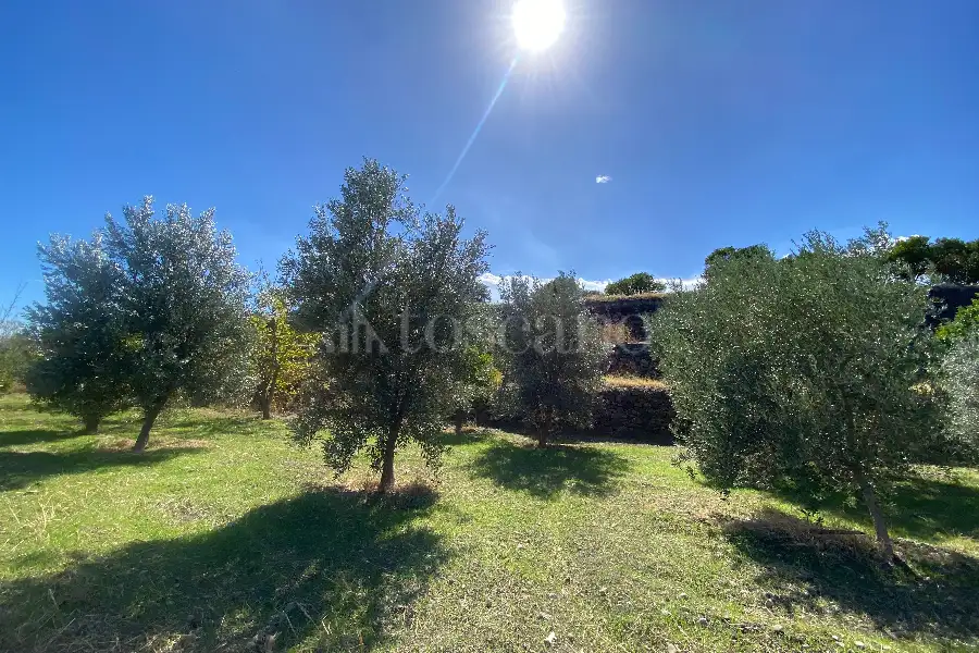 Agricolo in vendita di 5.393 mq a €36.000 (rif. 16/2026)
