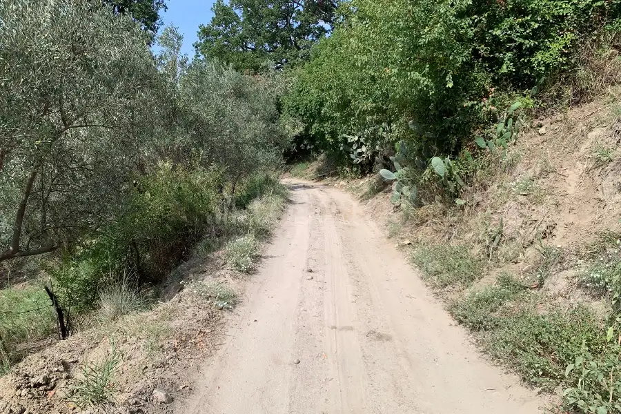 Agricolo in vendita di 4.000 mq a €18.000 (rif. 44/2026)