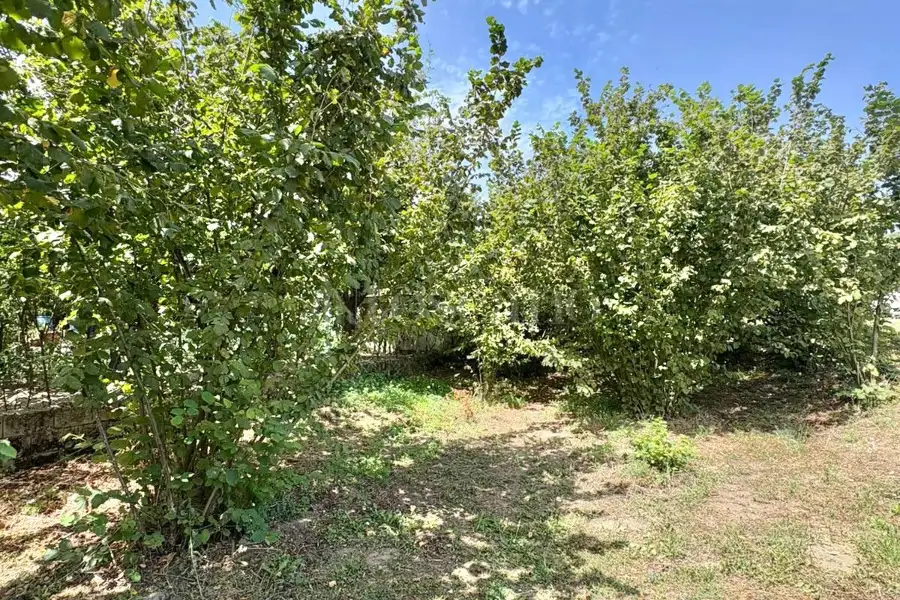 Agricolo in vendita di 2.000 mq a €18.000 (rif. 107/2026)