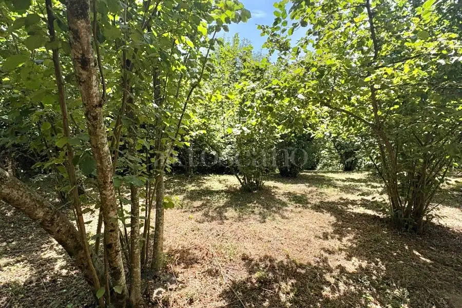 Agricolo in vendita di 2.000 mq a €18.000 (rif. 107/2026)