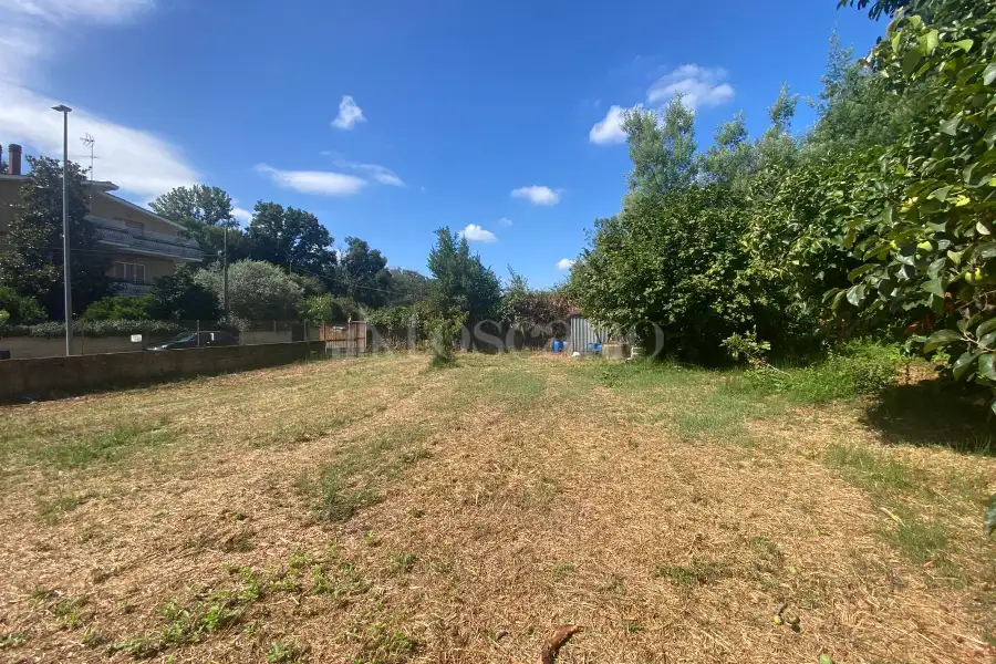 Agricolo in vendita di 1.500 mq a €54.000 (rif. 43/2025)