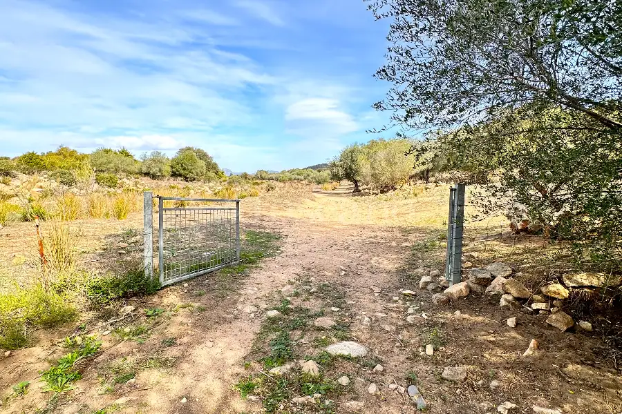 Agricolo in vendita di 375.217 mq a €480.000 (rif. 55/2024)