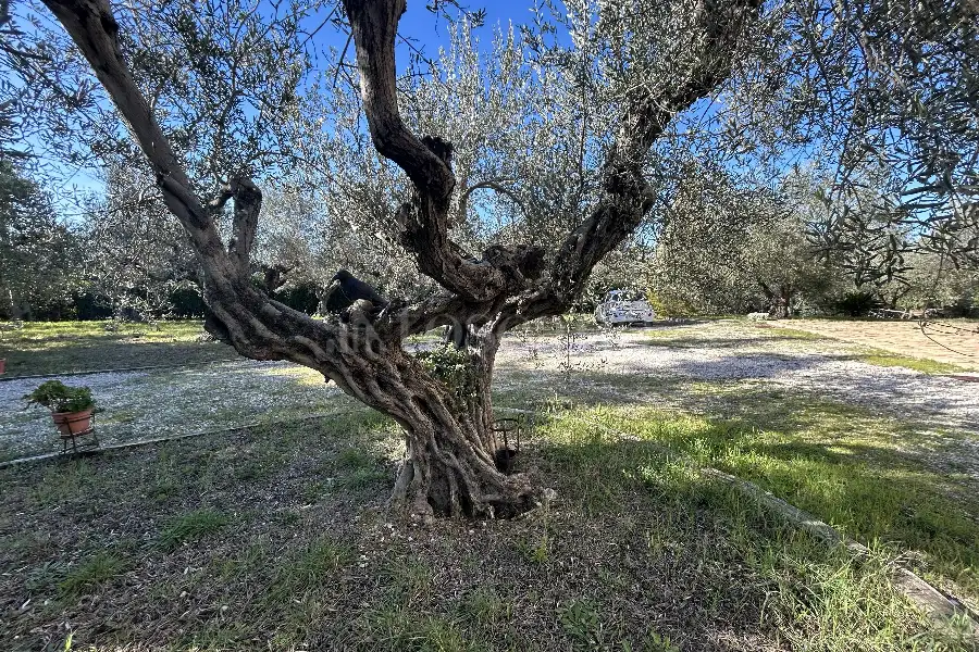 Villa in vendita di 480 mq a €880.000 (rif. 4/2026)