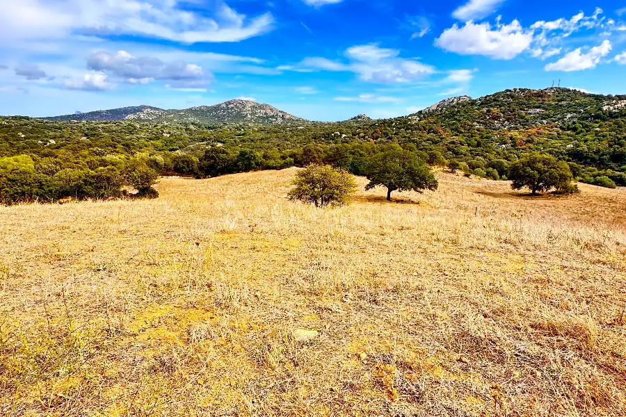 Agricolo in vendita di 194.010 mq a €250.000 (rif. 56/2024)