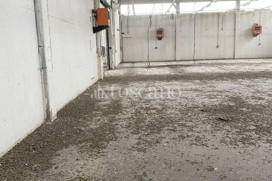 Capannone in vendita di 2000 mq a €4,500 (rif. TS0044VE.A)