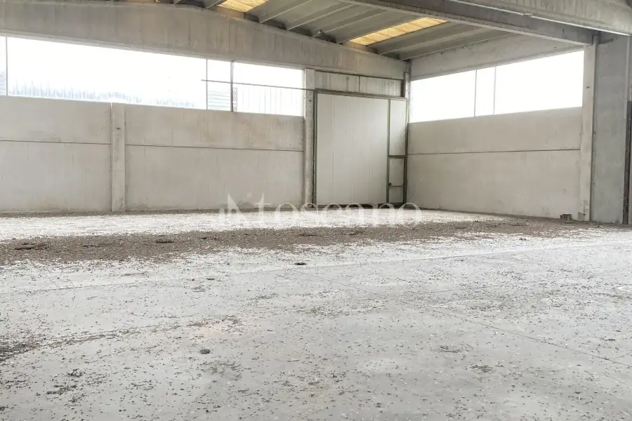Capannone in vendita di 2000 mq a €4,500 (rif. TS0044VE.A)