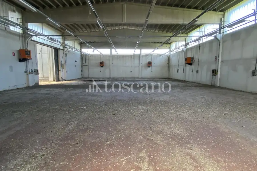 Capannone in vendita di 2000 mq a €4,500 (rif. TS0044VE.A)
