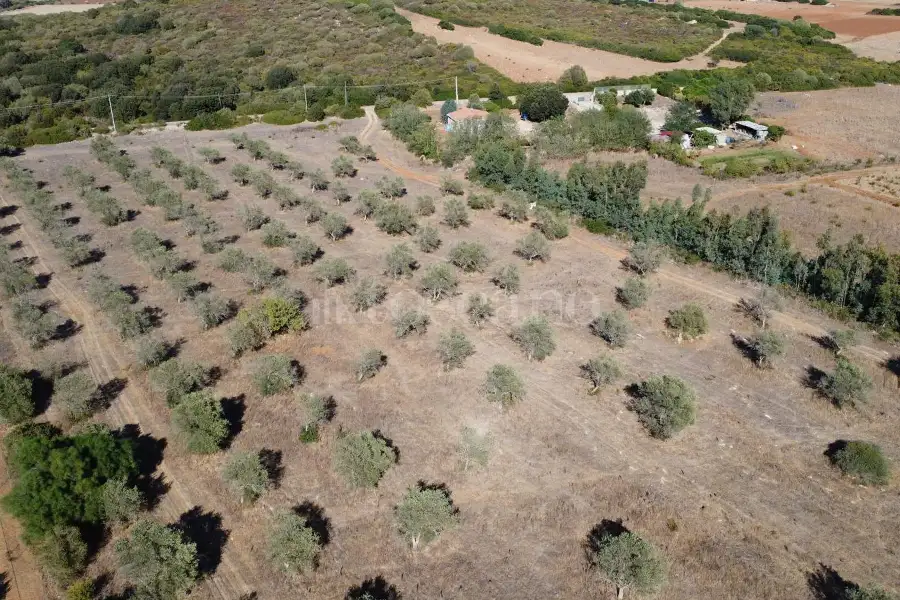 Agricolo in vendita di 10.000 mq a €45.000 (rif. 208/2026)