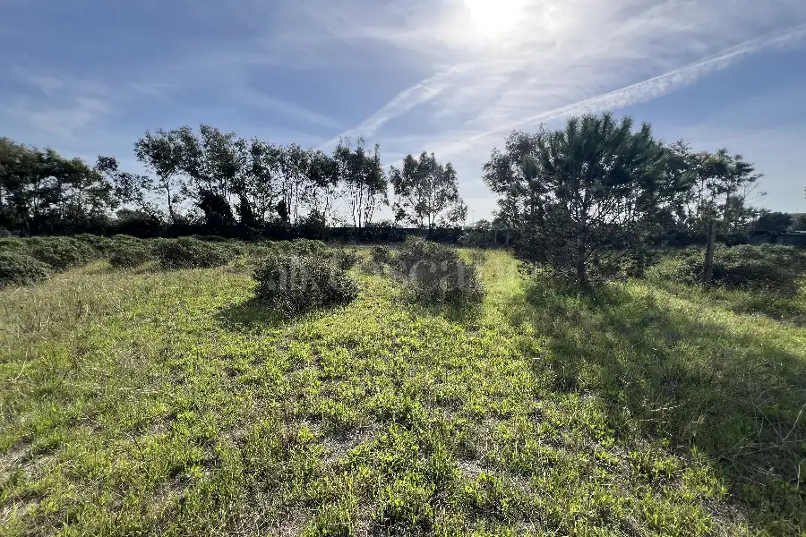 Edificabile Residenziali in vendita di 1.110 mq a €30.000 (rif. 85/2024)