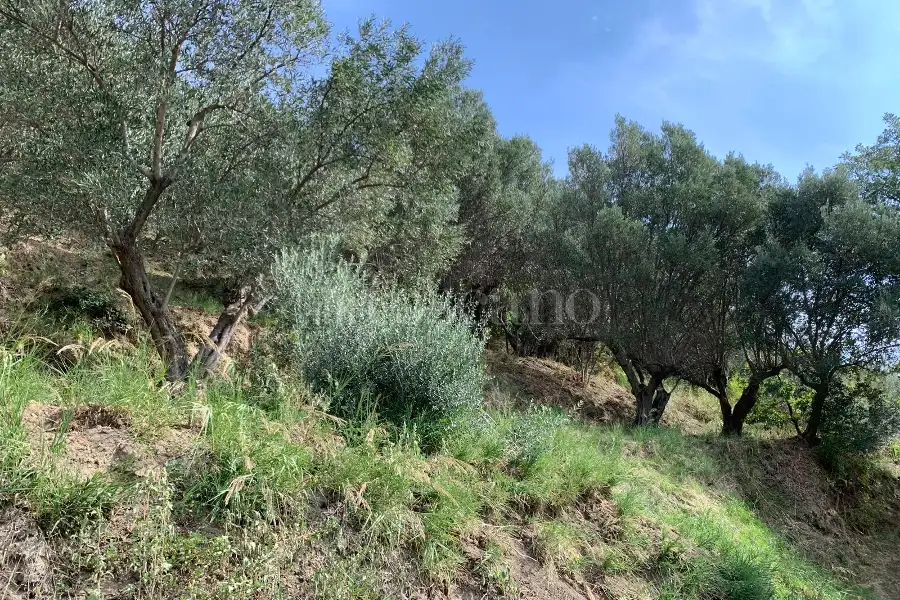 Agricolo in vendita di 4.000 mq a €18.000 (rif. 44/2026)