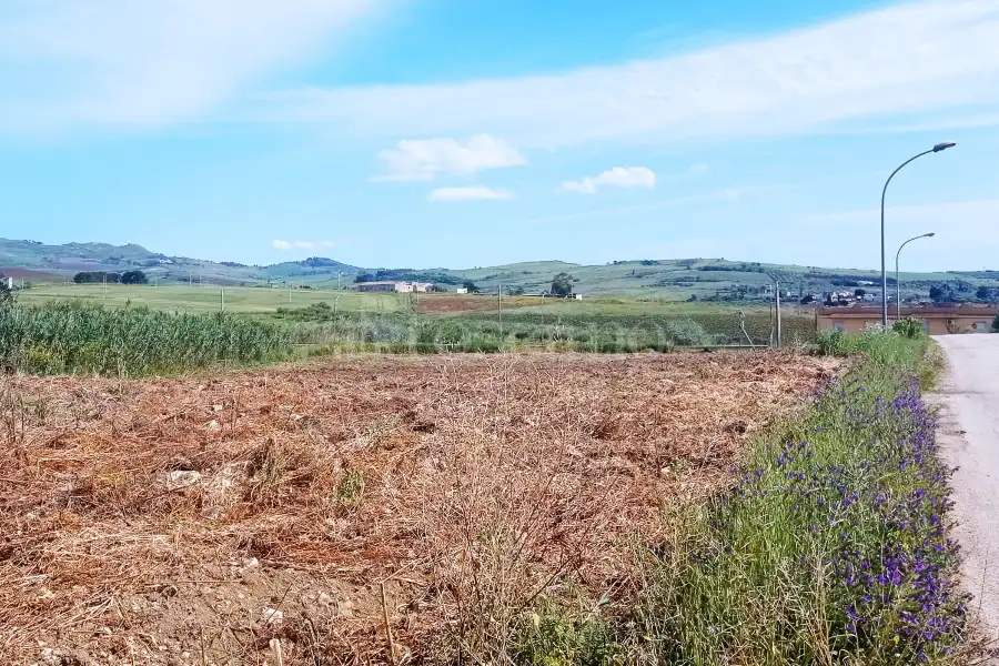 Edificabile Residenziali in vendita di 4.623 mq a €42.000 (rif. 30/2025)