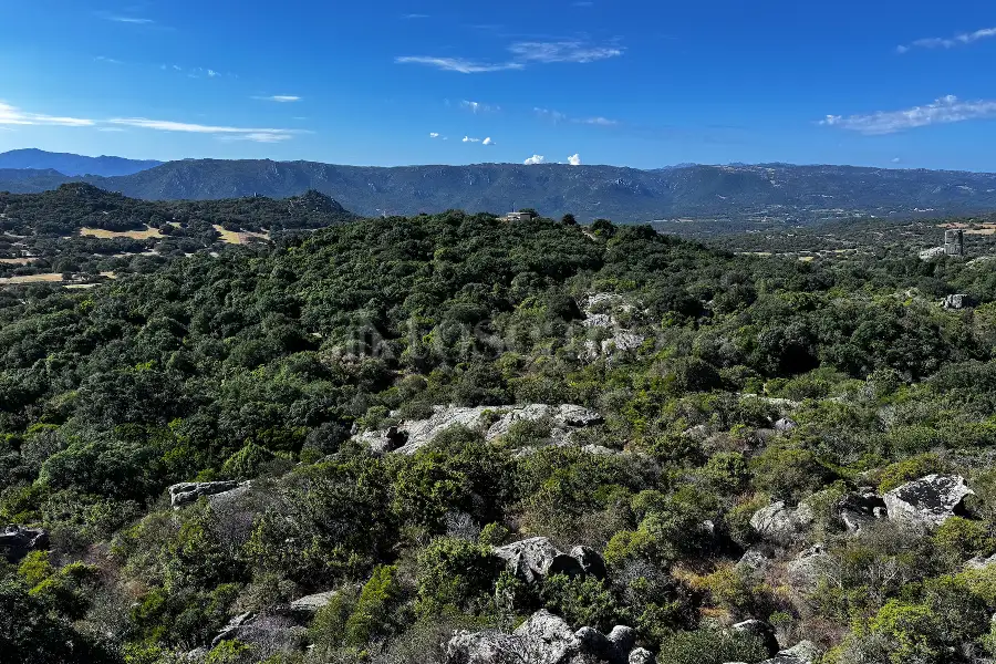 Agricolo in vendita di 75.140 mq a €95.000 (rif. 21/2025)