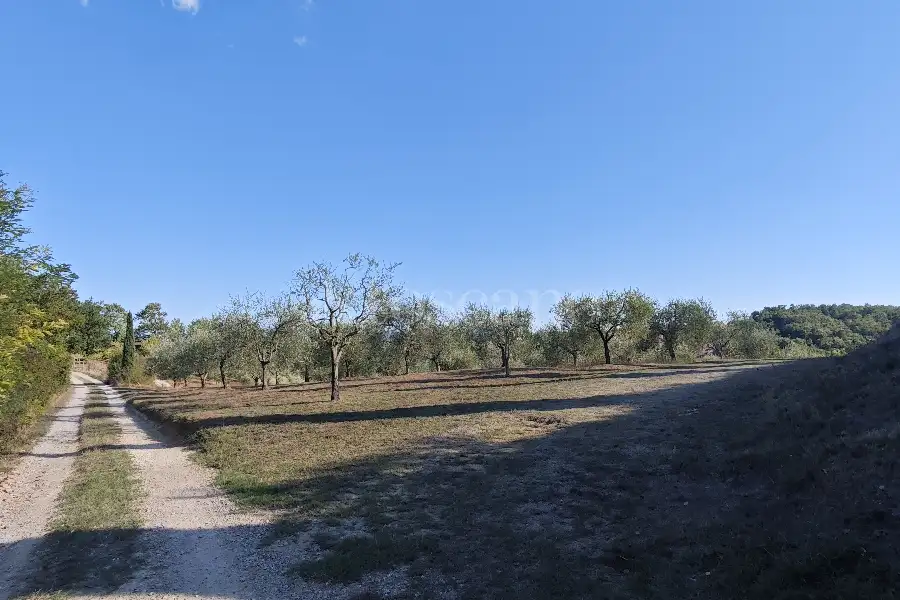 Agricolo in vendita di 20.000 mq a €80.000 (rif. 24/2026)