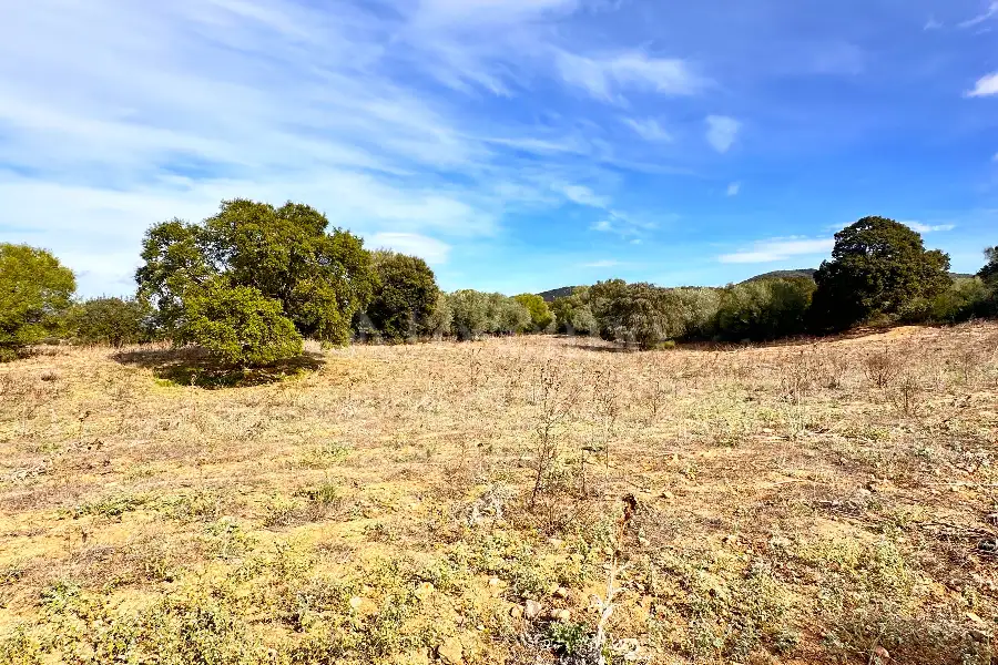 Agricolo in vendita di 375.217 mq a €480.000 (rif. 55/2024)