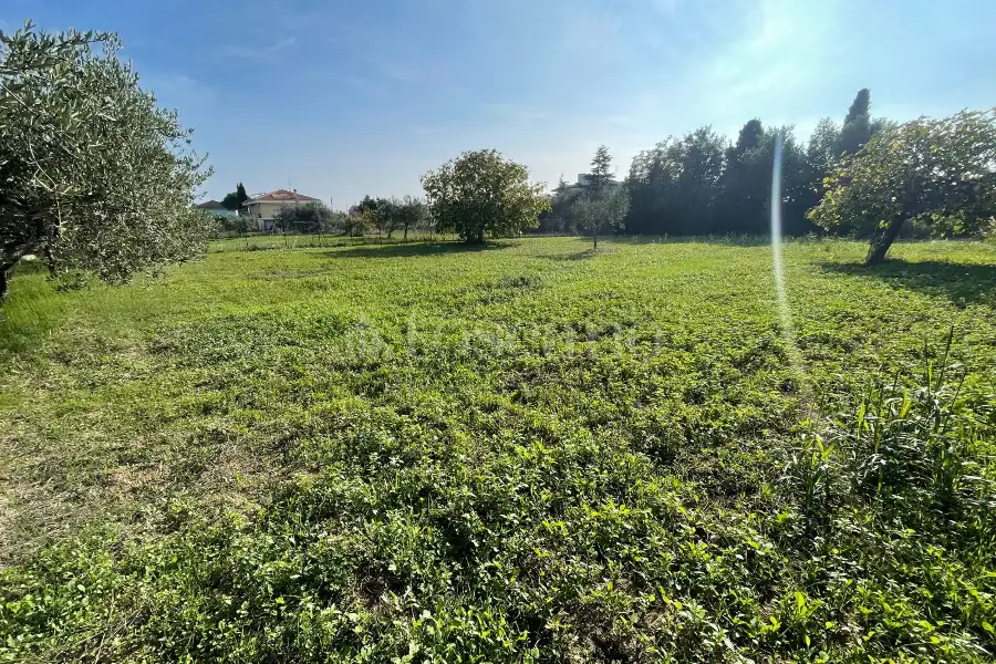 Agricolo in vendita di 1.288 mq a €37.000 (rif. 59/2025)