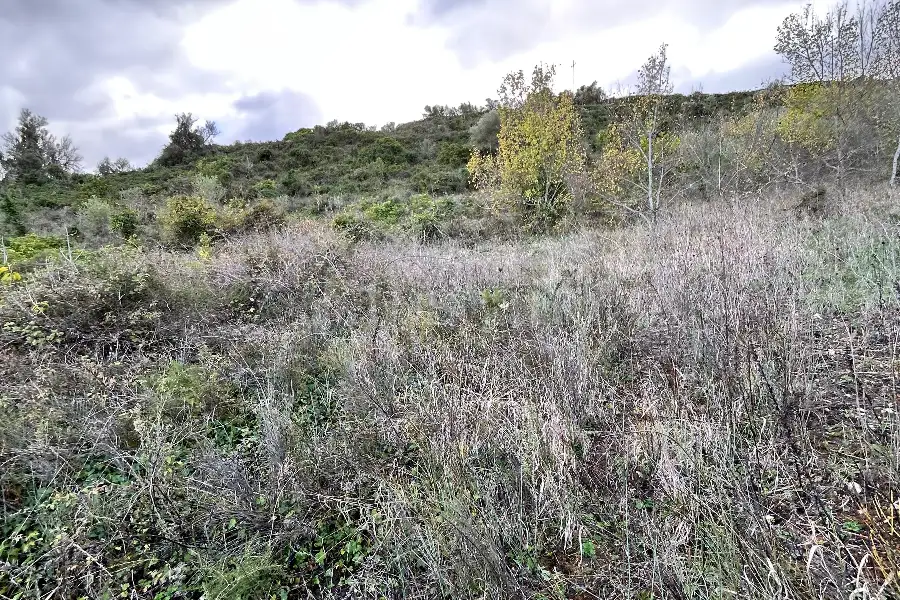 Agricolo in vendita di 4.300 mq a €10.000 (rif. 213/2025)